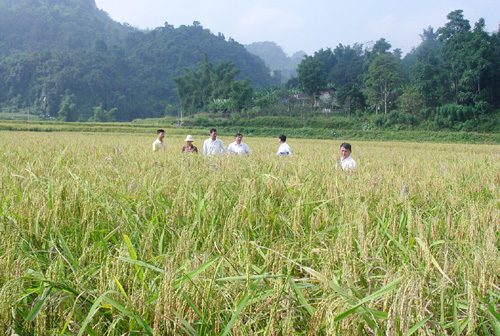 Провинция Баккан сотрудничает с другими провинциями в поиске рынка сбыта сельхозпродукции